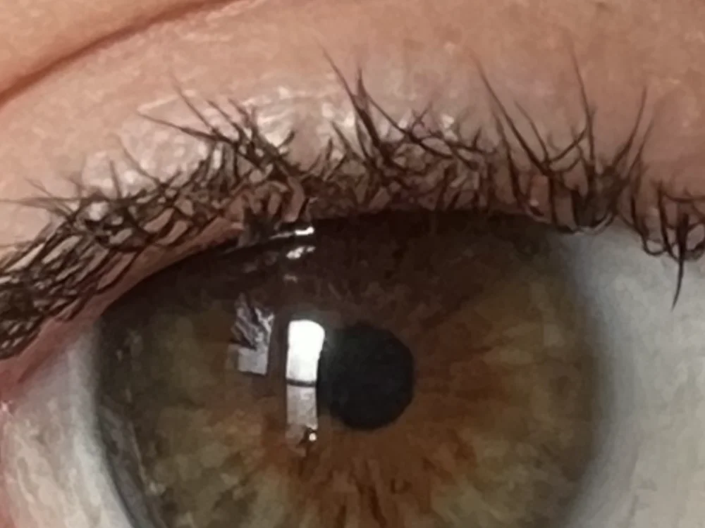 Chat XXX offline de Capricorncody