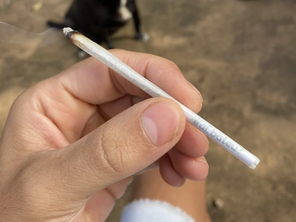 bsbversa Offline XXX Chat