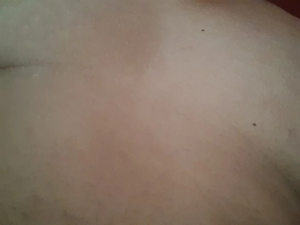 jonh31 Offline XXX-Chat
