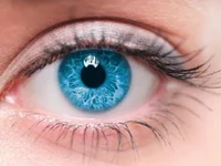 amanda_kiss_kiss – Live XXX-chat