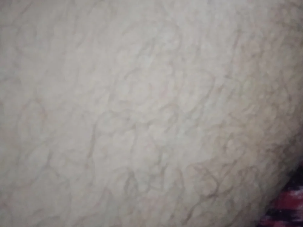 Ziadbara's Offline XXX Chat