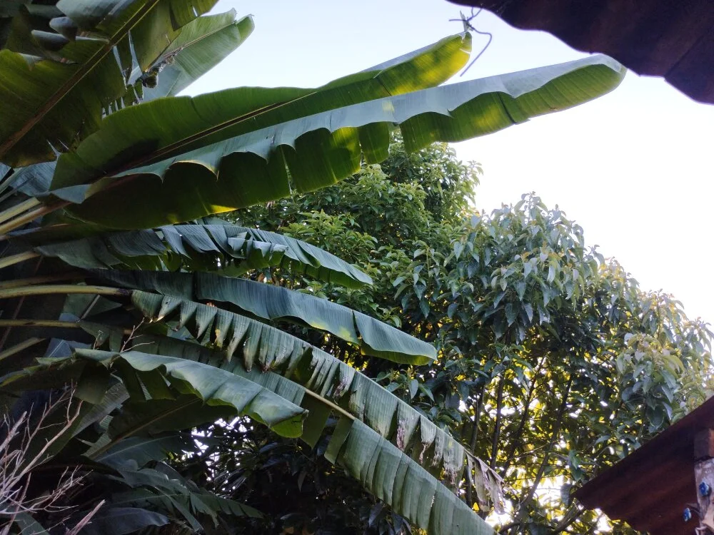 Офлайн-чат XXX NazzB2