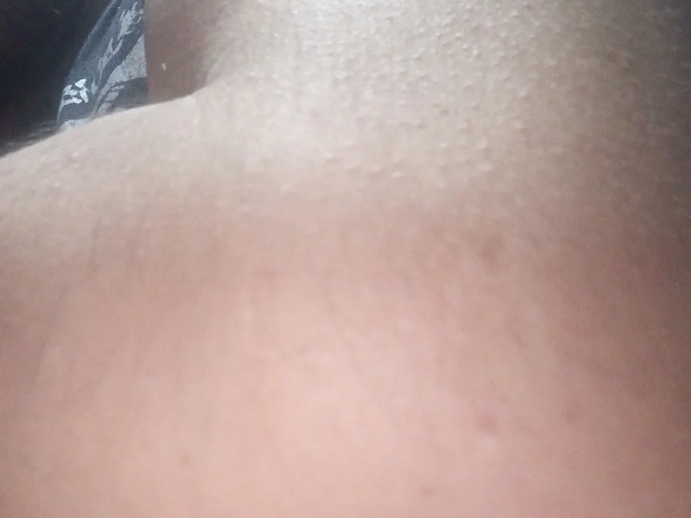 Chat XXX offline de Gamer3264