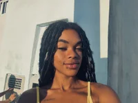 Model MIMICAMM