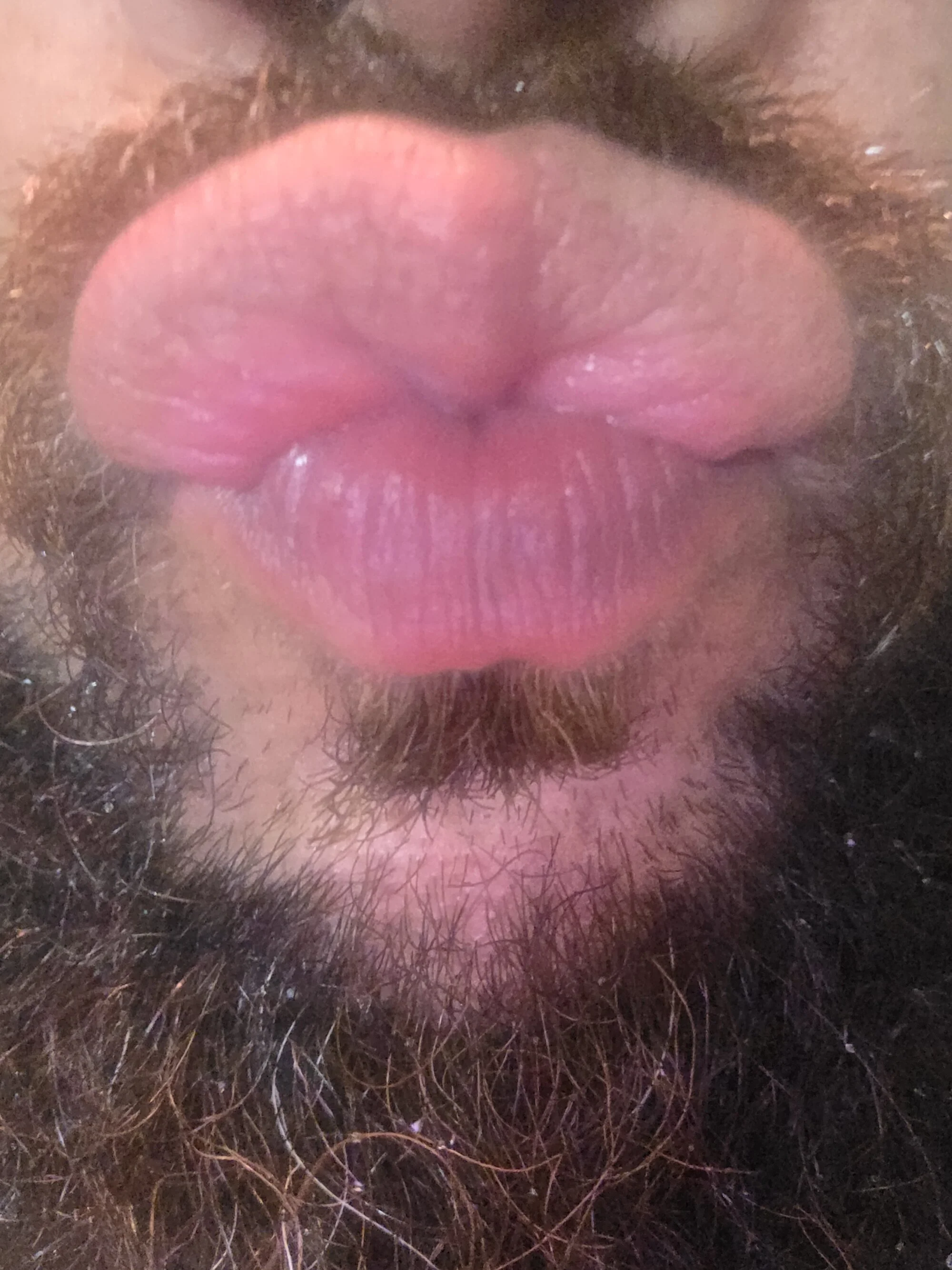 Sdaddydoah2488