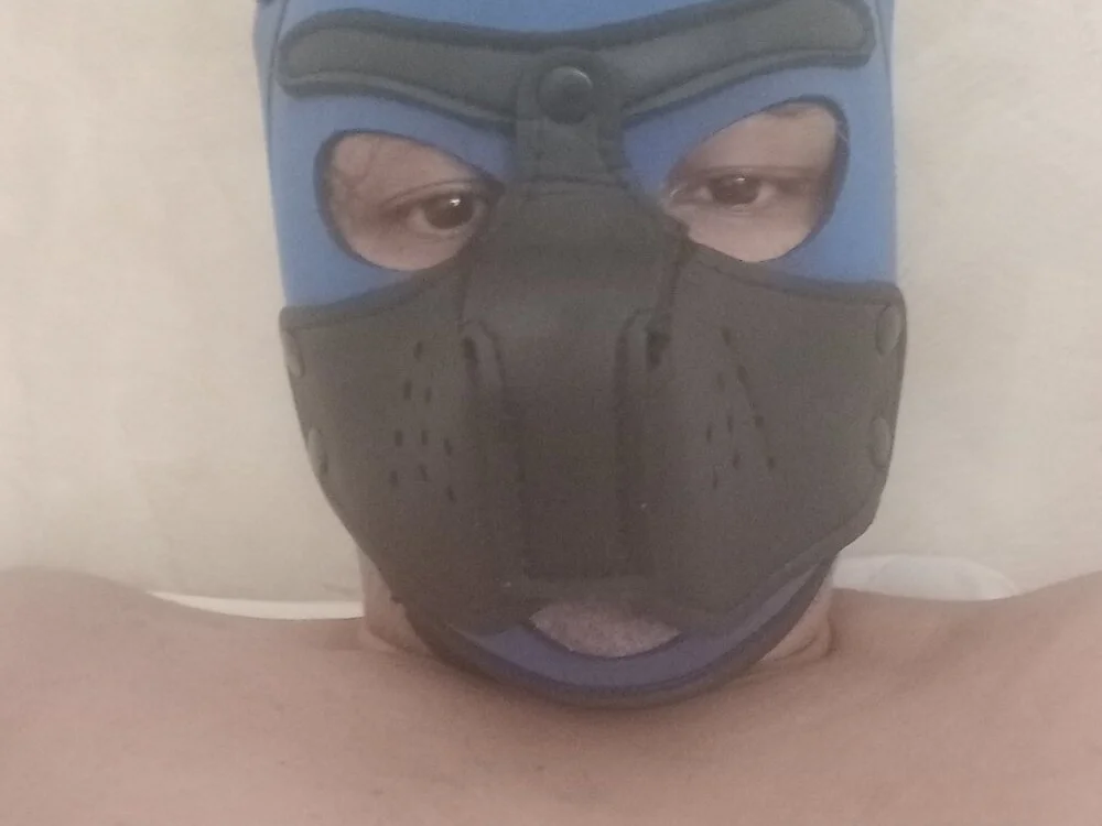 soumicuckold1 offline XXX-chatje