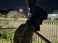 vexis666 🤦 free sex webcam