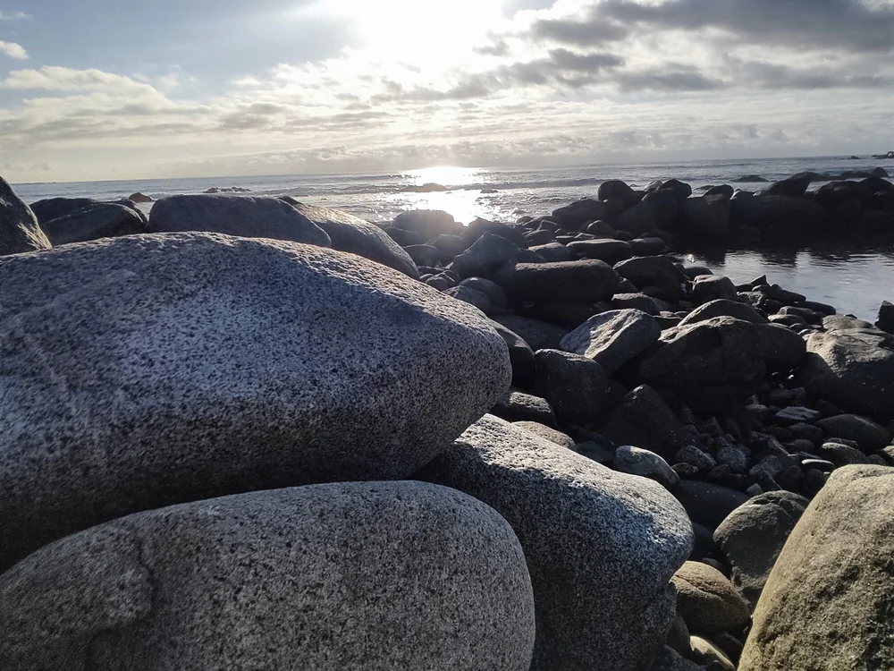 uniformbears's most recent online preview