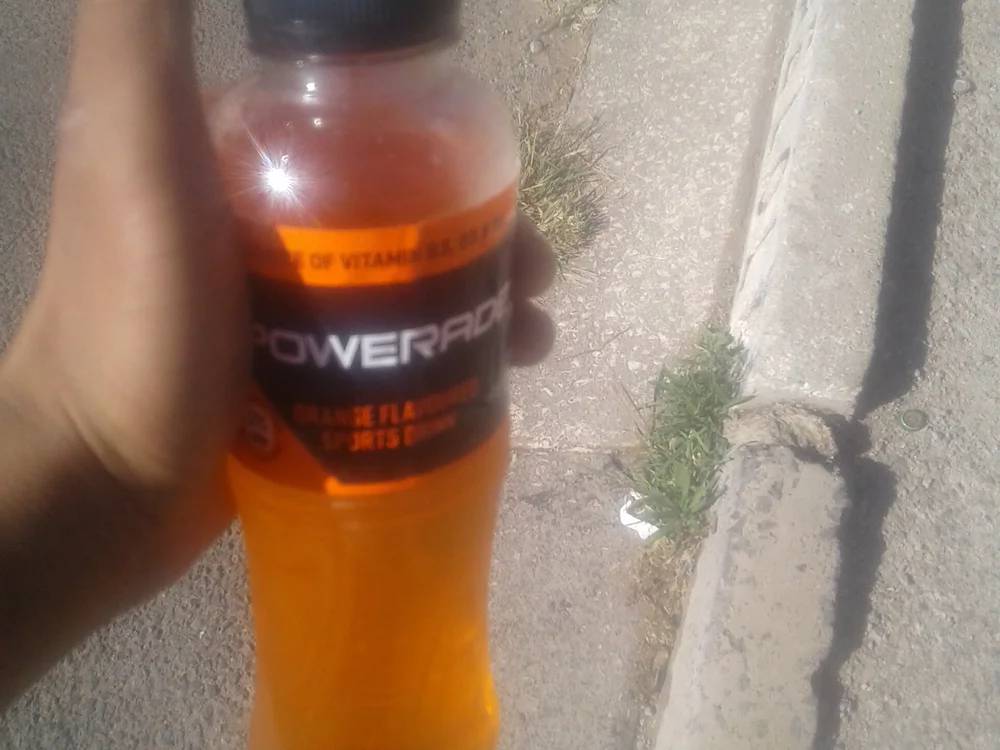 forcebig Offline XXX Chat