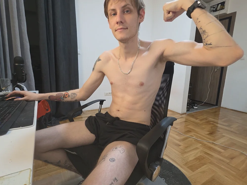 Nikola_Stefanovic's Offline Chat Room