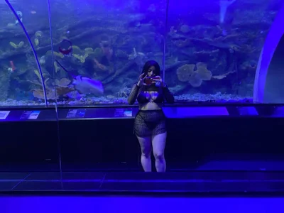 __CELESTE__ - live cam model