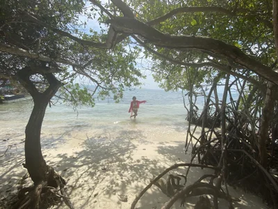 Capricornmystic1 profile