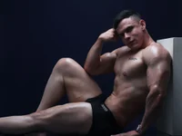 Модель Regansmiths