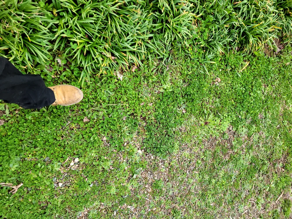 exhib_bite's Offline XXX Chat