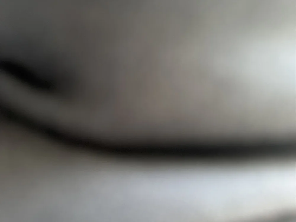 Riki_kai's Offline XXX Chat