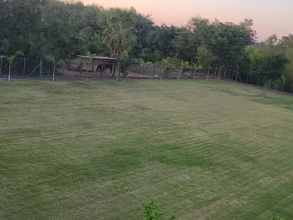 Офлайн-чат XXX Elplaga