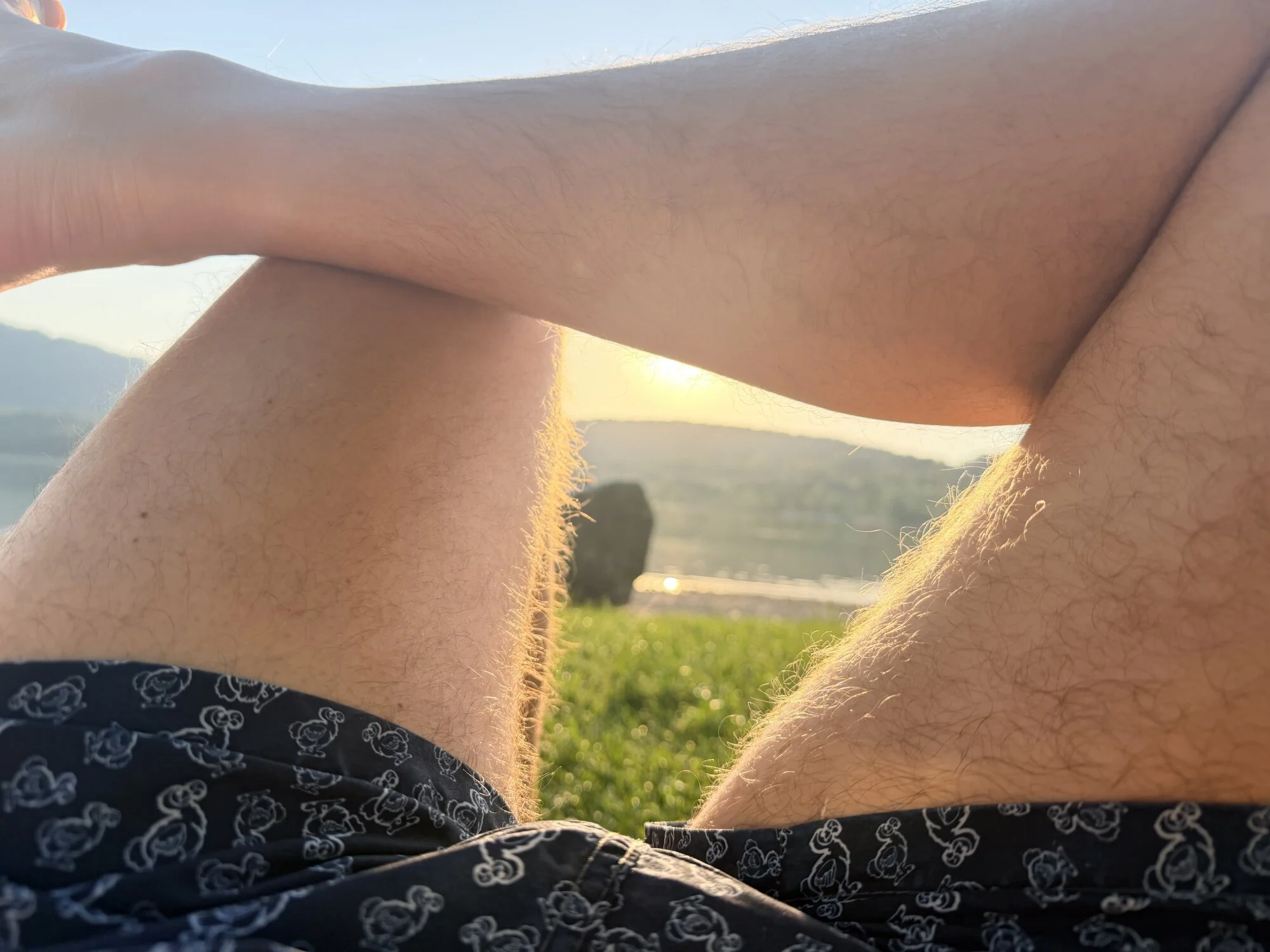 MARCZELI cover photo