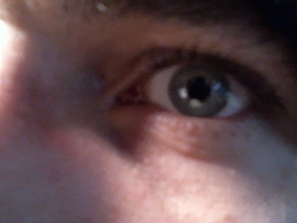 Strix86 離線 XXX 聊天