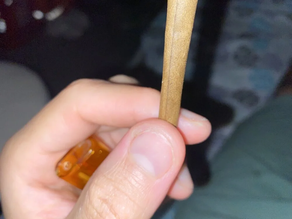 xarasa19 offline XXX-chat