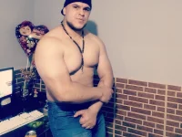 Модель ApholoVV