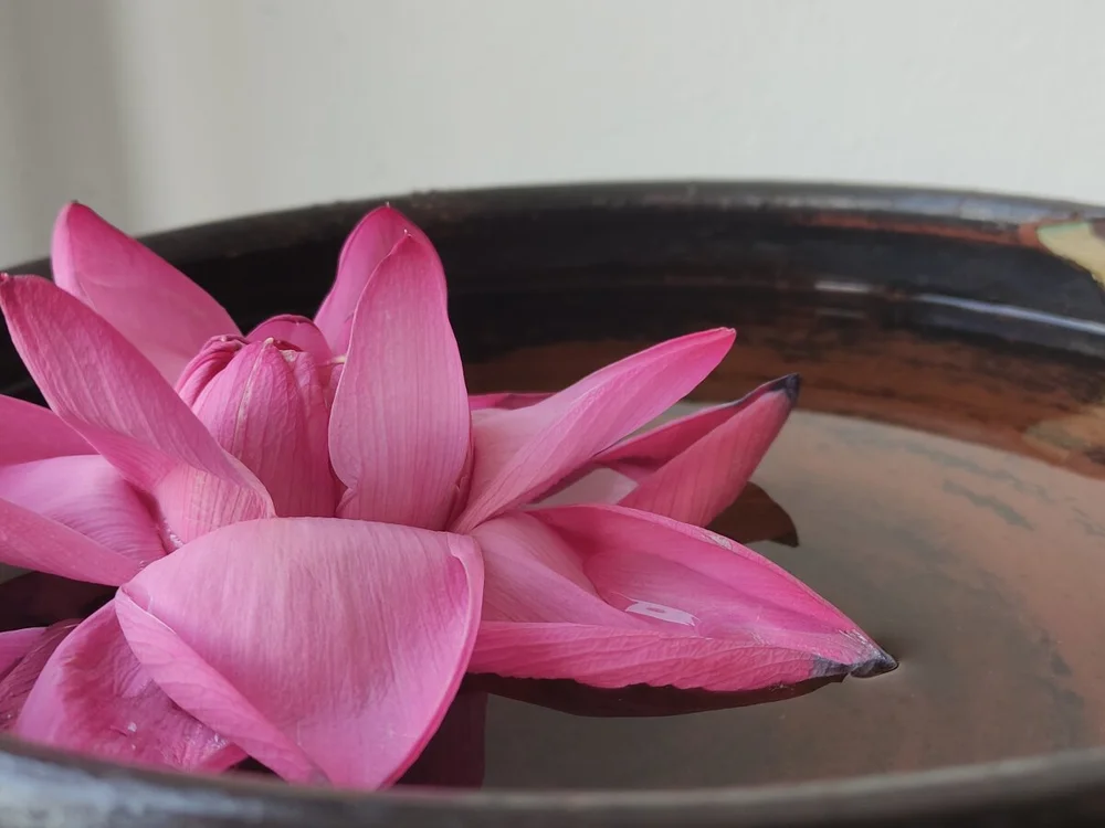 Offline XXX chat modela SLpim