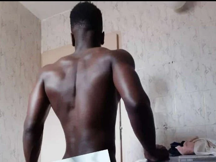 DR-ANIMAL: συνομιλία ΧΧΧ εκτός σύνδεσης