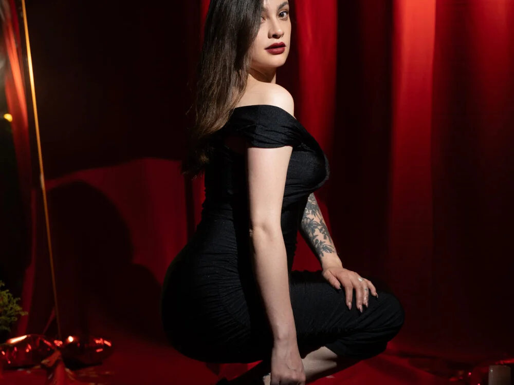 Aria95_a 离线XXX聊天