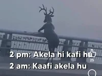 Модель Amisha2