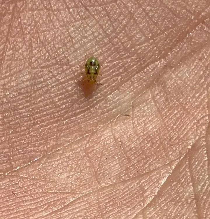 Steven16R's Offline XXX Chat