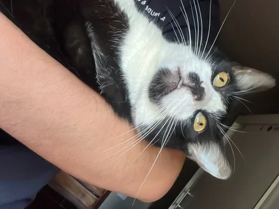 cazadornocturno1997 profile