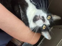 cazadornocturno1997's webcam live show