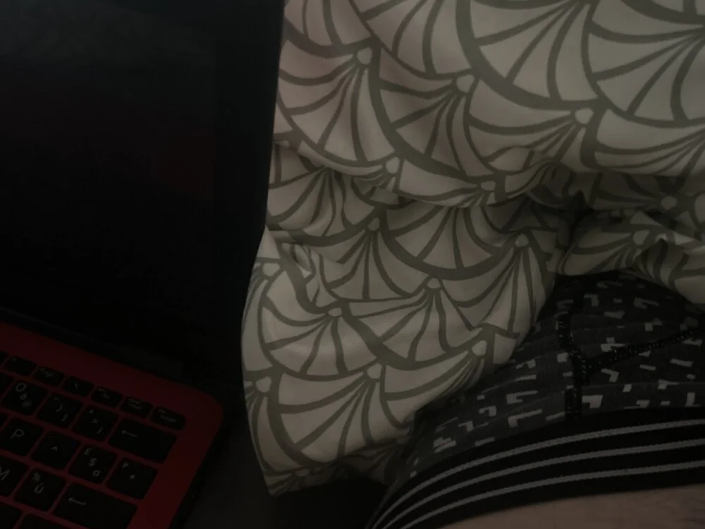 Zoro404040 離線 XXX 聊天