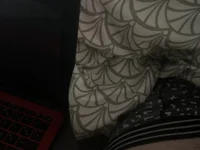 Модель Zoro404040