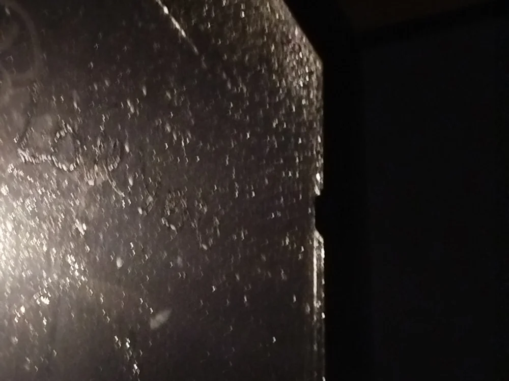 mooonrose 離線 XXX 聊天