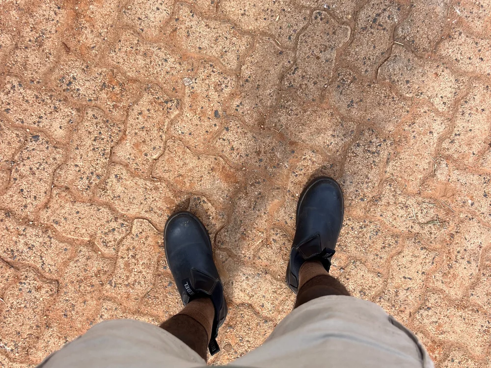 133pipi Offline XXX-chat