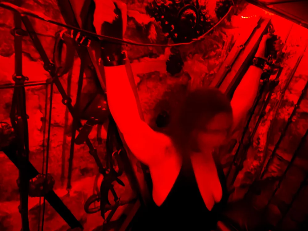 PerverssIzia's Offline XXX Chat