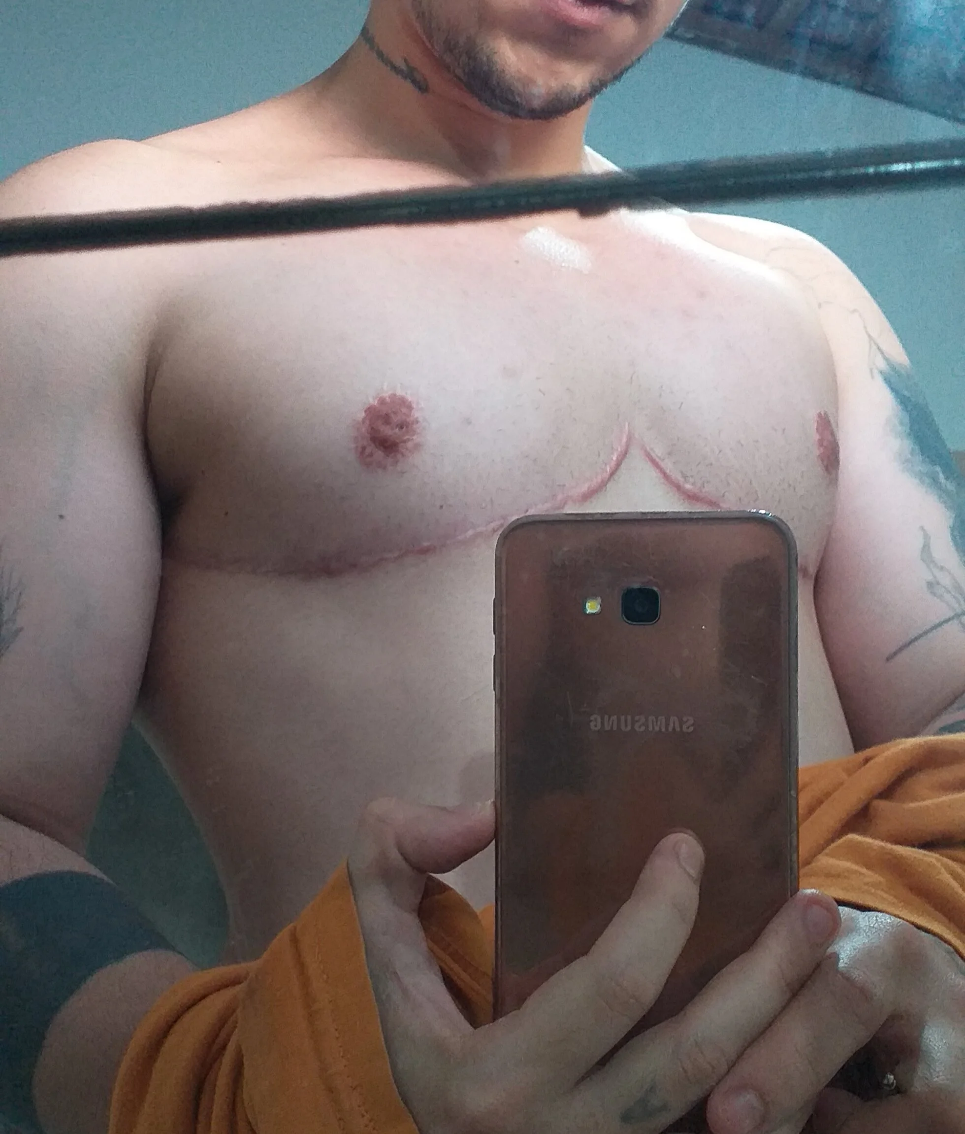Homemtrans10 cover photo