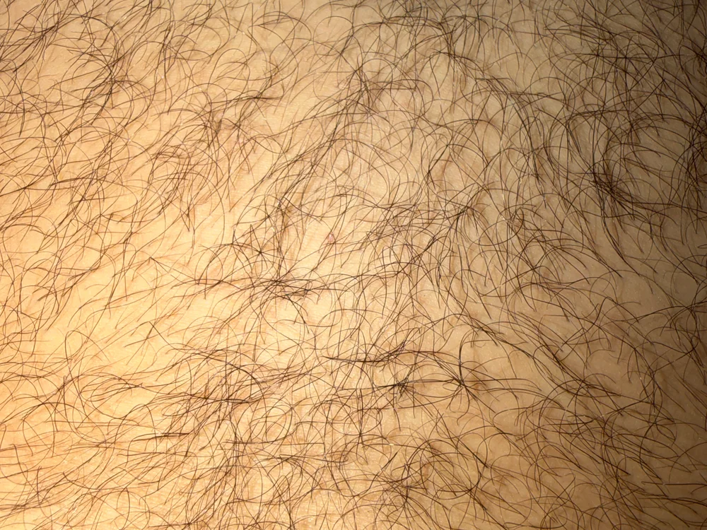 Chatroom XXX hors ligne de beercan36