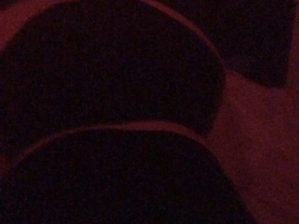 Chat XXX offline de nuttybutter999999