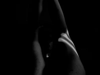 lebaneeseguy profile