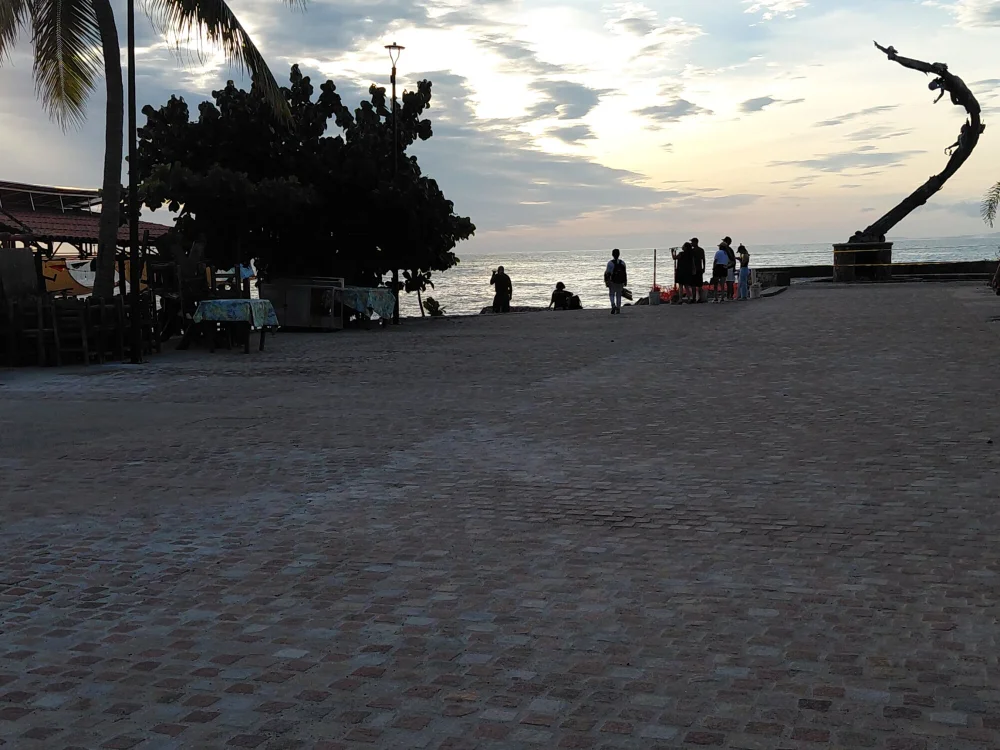 cover photo of yrh7