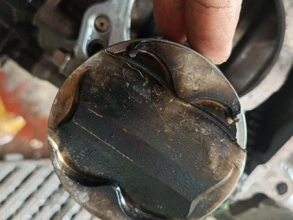 jikey12312 cam model