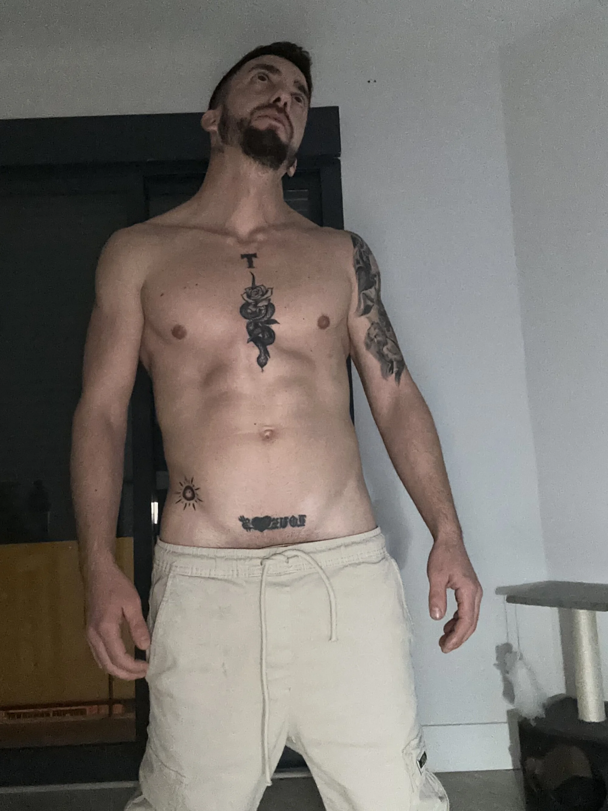 Stripshowp