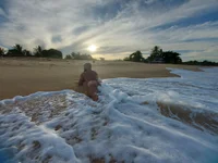 Модель Harygot