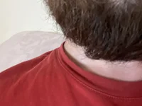 StefSensei