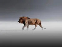 milhiyt's webcam live show