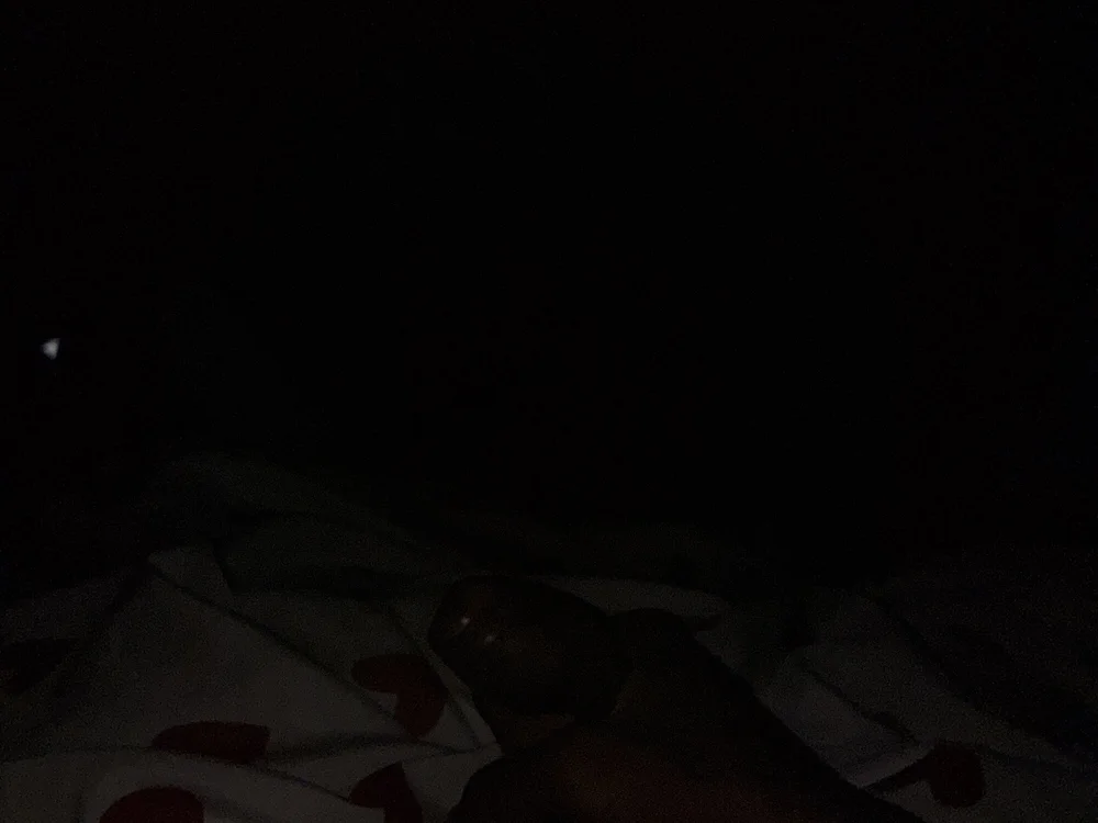 Longlong8in cam model