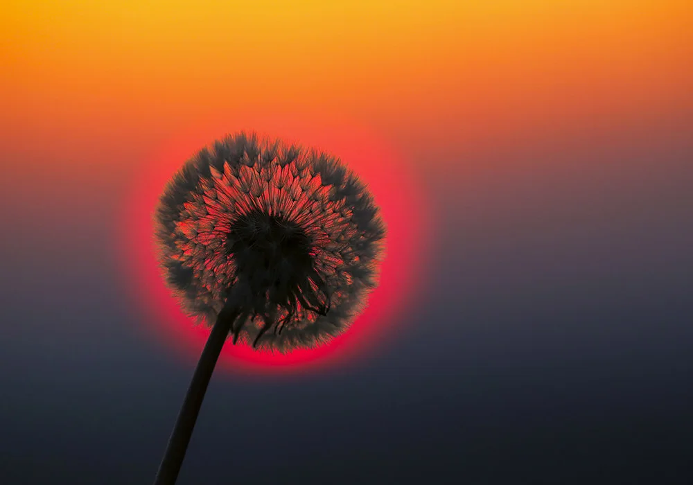 convert_to_model's Offline XXX Chat