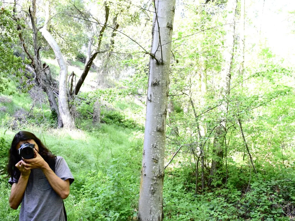 thickcucumber22 offline XXX-chatje