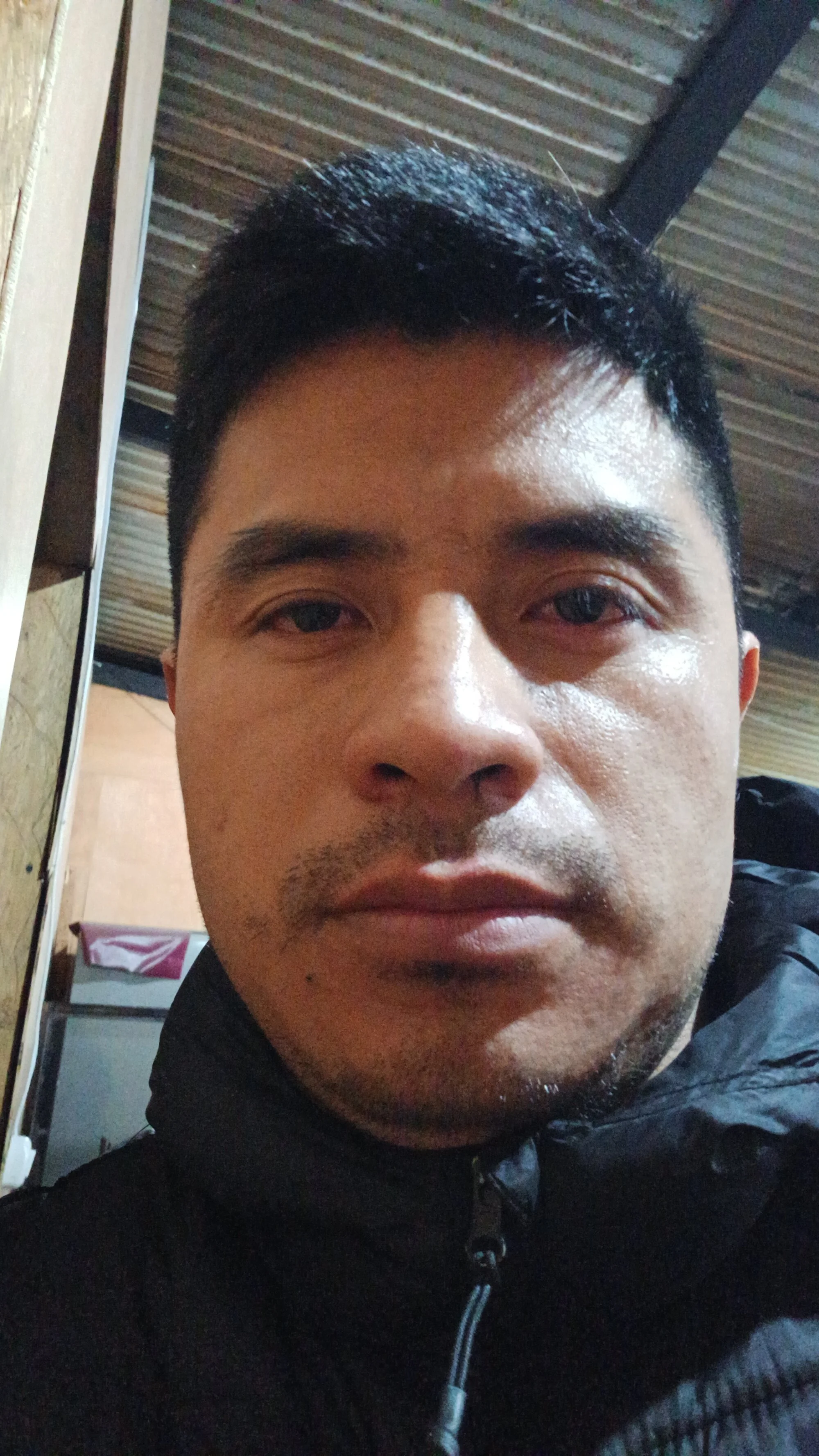 conejo-77
